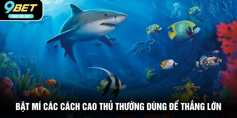 Bật mí các cách cao thủ thường dùng để thắng lớn