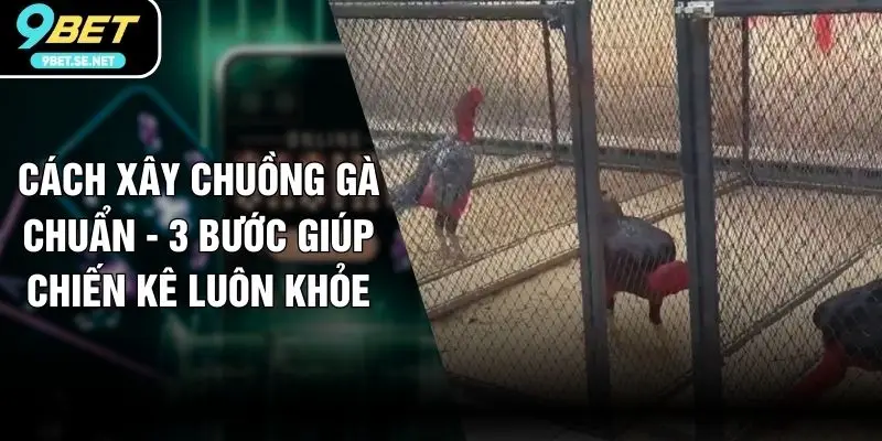 Cách Xây Chuồng Gà Chuẩn - 3 Bước Giúp Chiến Kê Luôn Khỏe