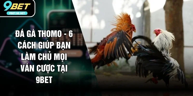 Đá Gà Thomo - 6 Cách Giúp Bạn Làm Chủ Mọi Ván Cược Tại 9BET