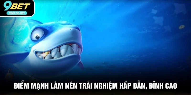 Điểm mạnh làm nên trải nghiệm hấp dẫn, đỉnh cao