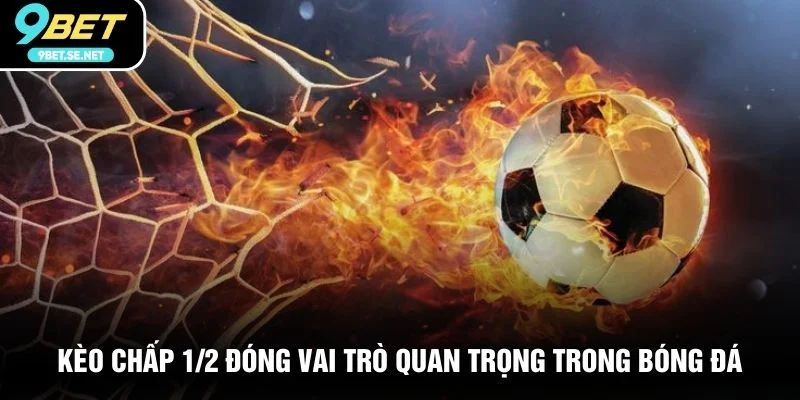 Kèo chấp 1/2 đóng vai trò quan trọng trong bóng đá