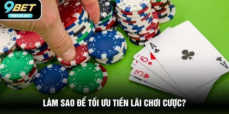 Làm sao để tối ưu tiền lãi chơi cược?