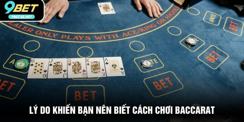 Lý do khiến bạn nên biết cách chơi Baccarat