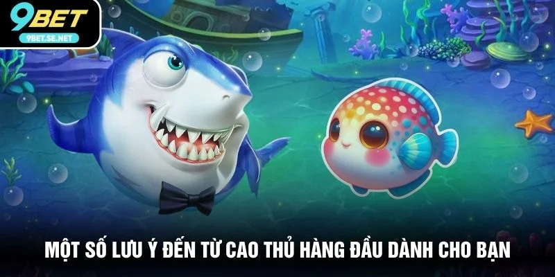 Một số lưu ý đến từ cao thủ hàng đầu dành cho bạn