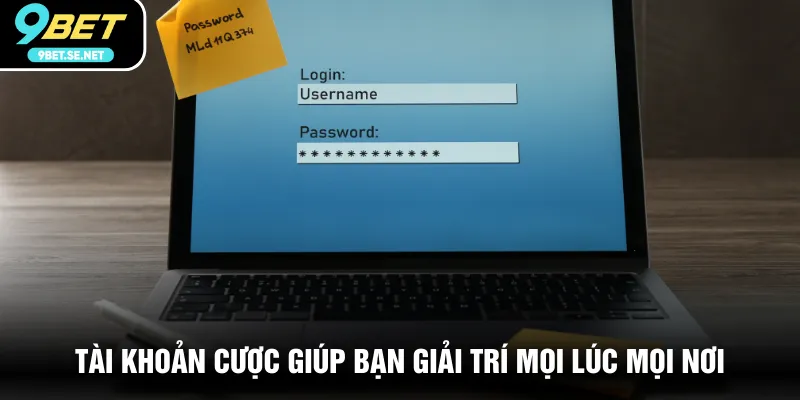  Tài khoản cược giúp bạn giải trí mọi lúc mọi nơi