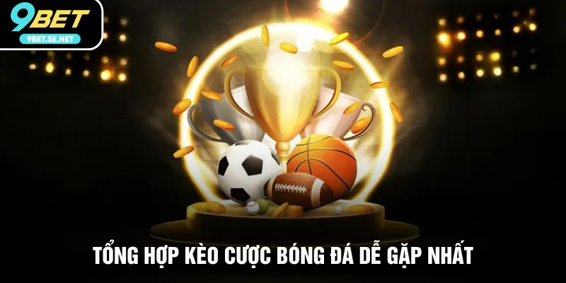Tổng hợp kèo cược bóng đá dễ gặp nhất