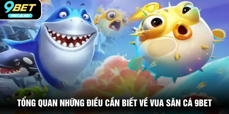 Tổng quan những điều cần biết về Vua Săn Cá 9BET
