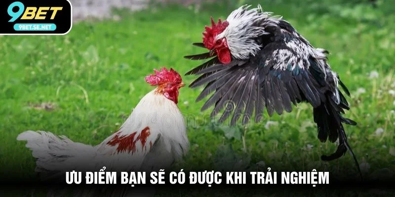 Ưu điểm bạn sẽ có được khi trải nghiệm